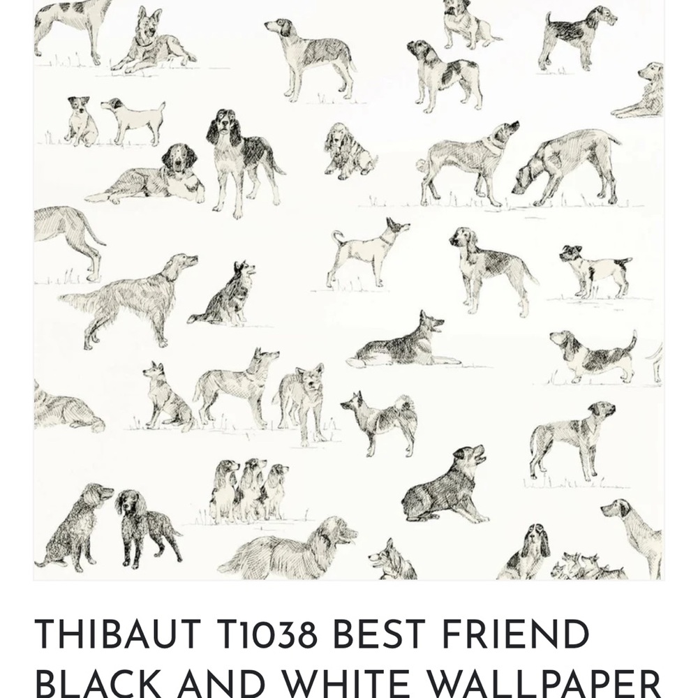 Best Friend Black and White Dog Wallpaper